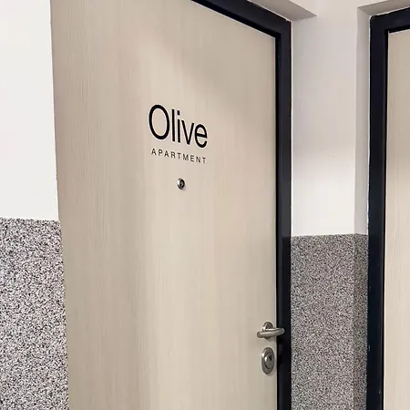 Apartamento Olive - Old Town